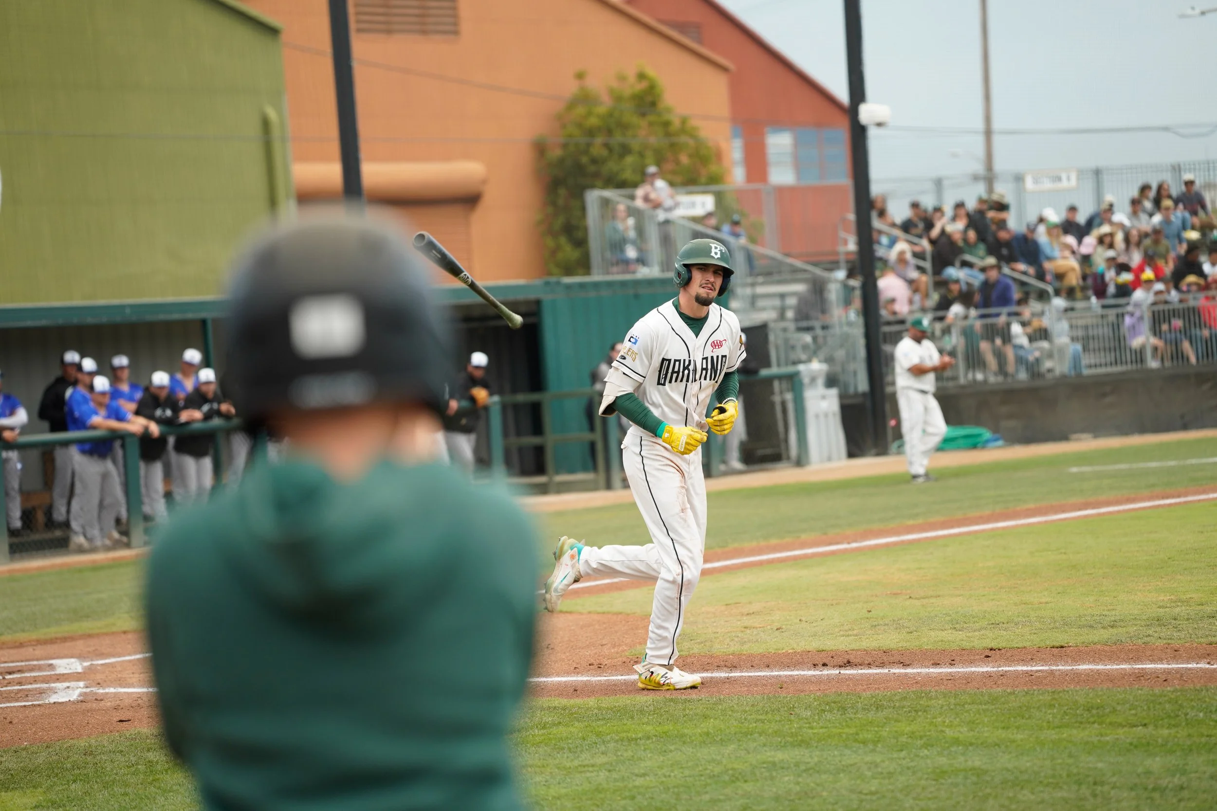 2025061-_DSC9486-Tobin-HaasDehejia-Davis-drewek-bat-flip-walk-GradeA-THD.jpg
