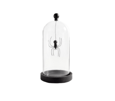 spider in glass case decor halloween