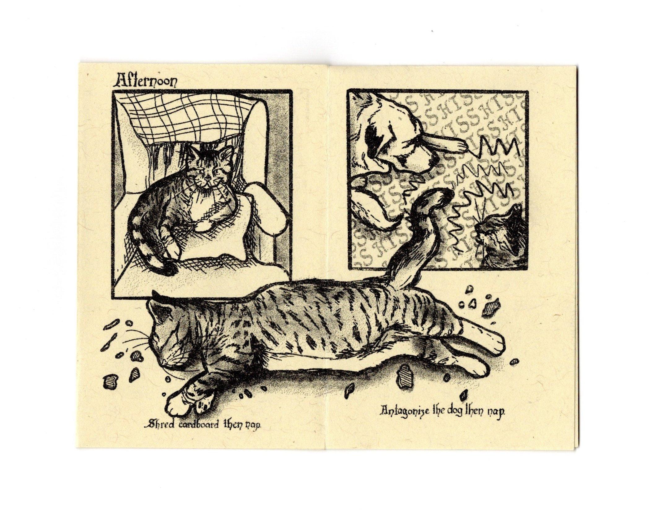 Menace linace yellow_004.jpeg