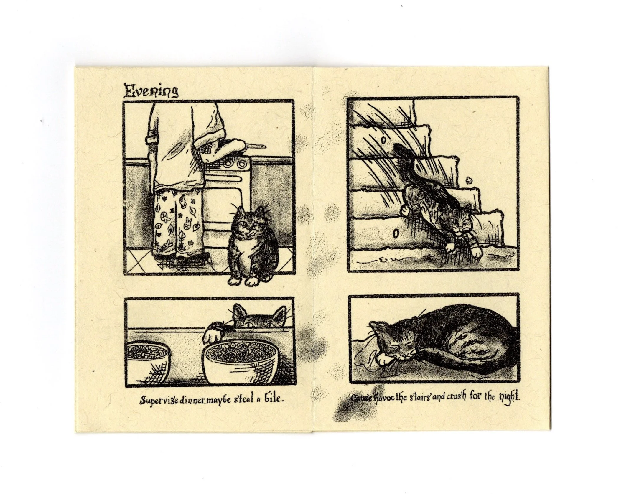 Menace linace yellow_005.jpeg