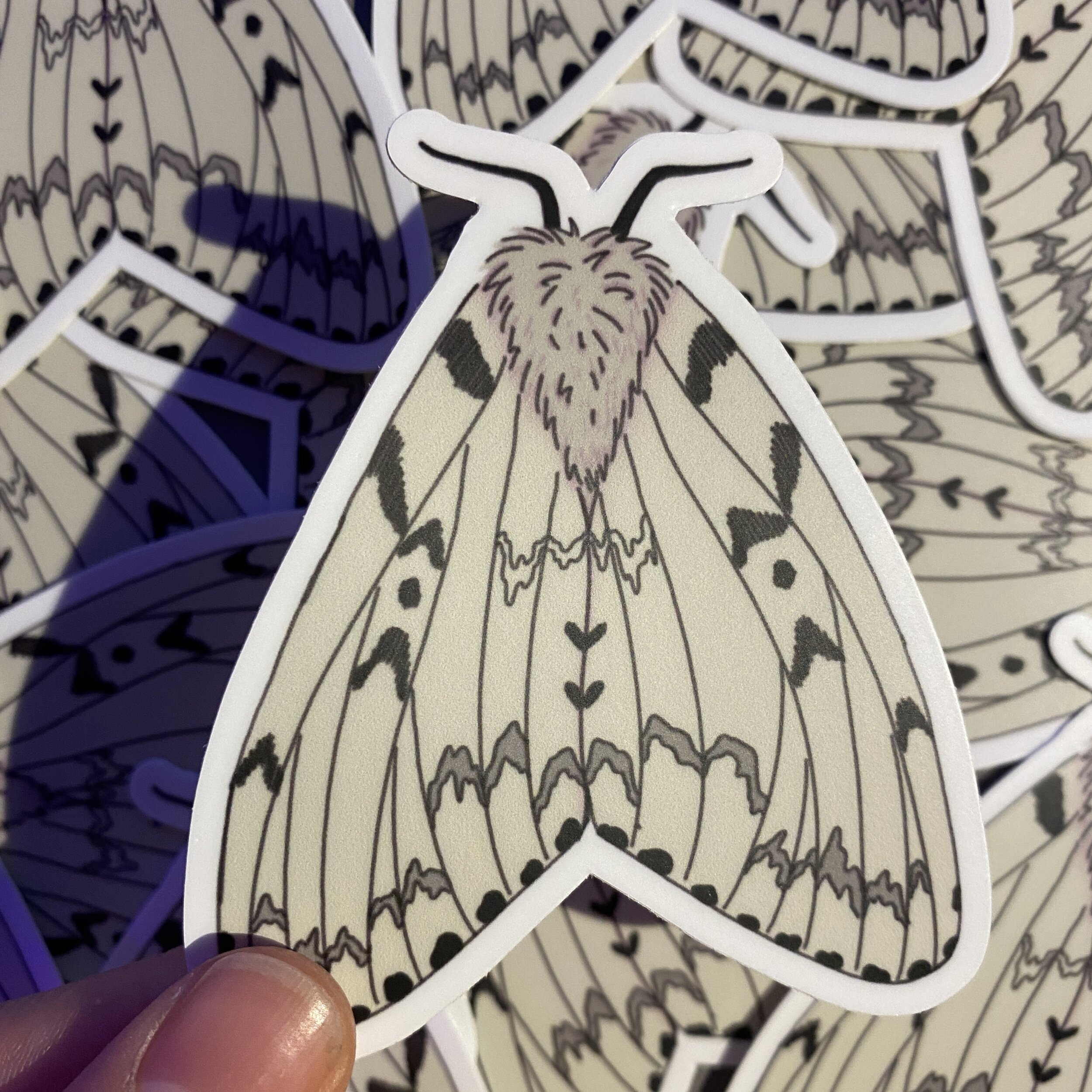 Large Tolype Moth Sticker