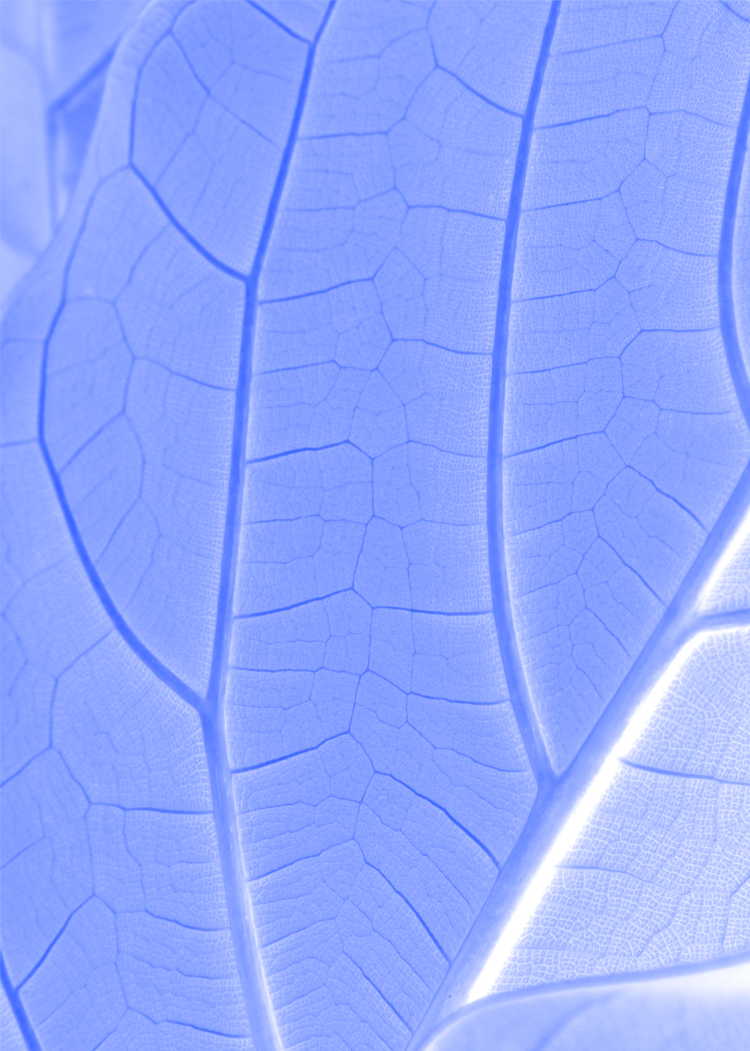 Blog post 1