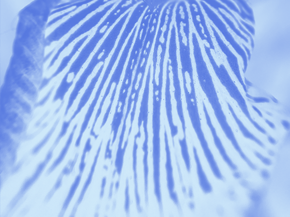 Blog post 3