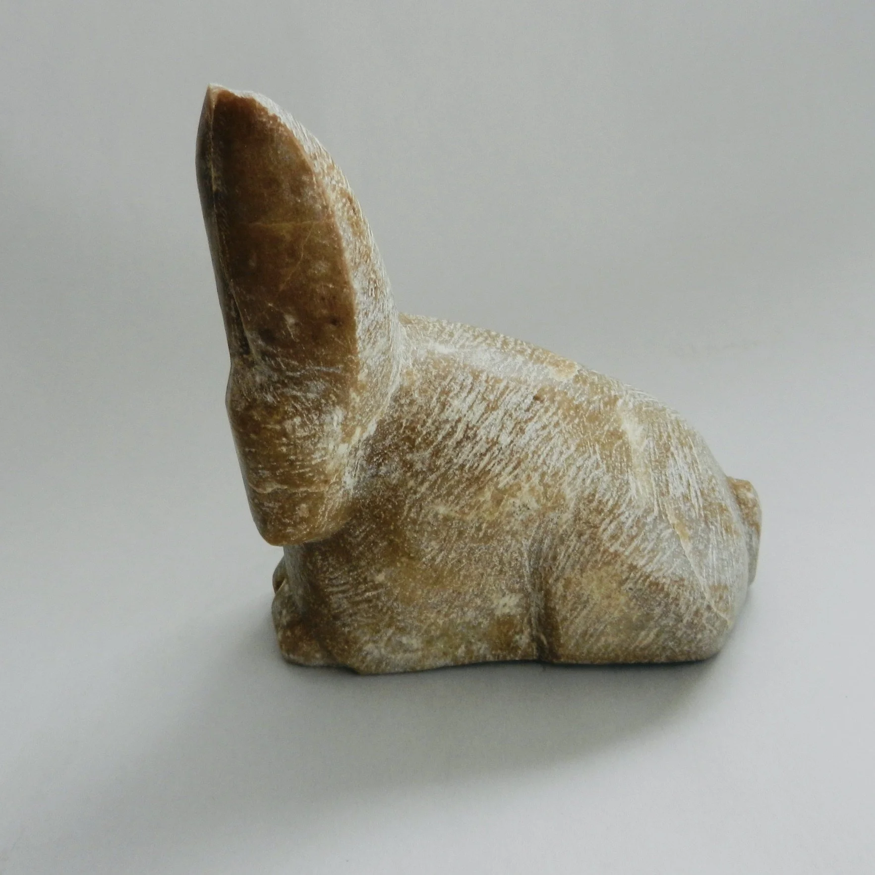 rabbit crouching.jpeg