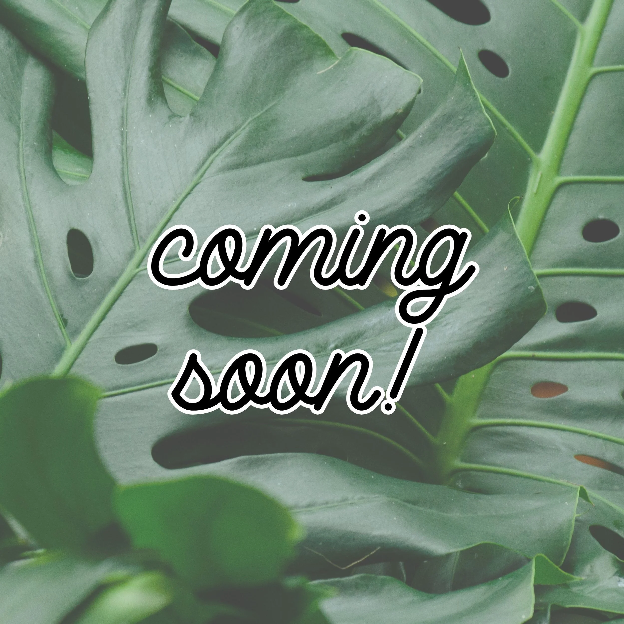 Copy of 2 week subscription.jpg