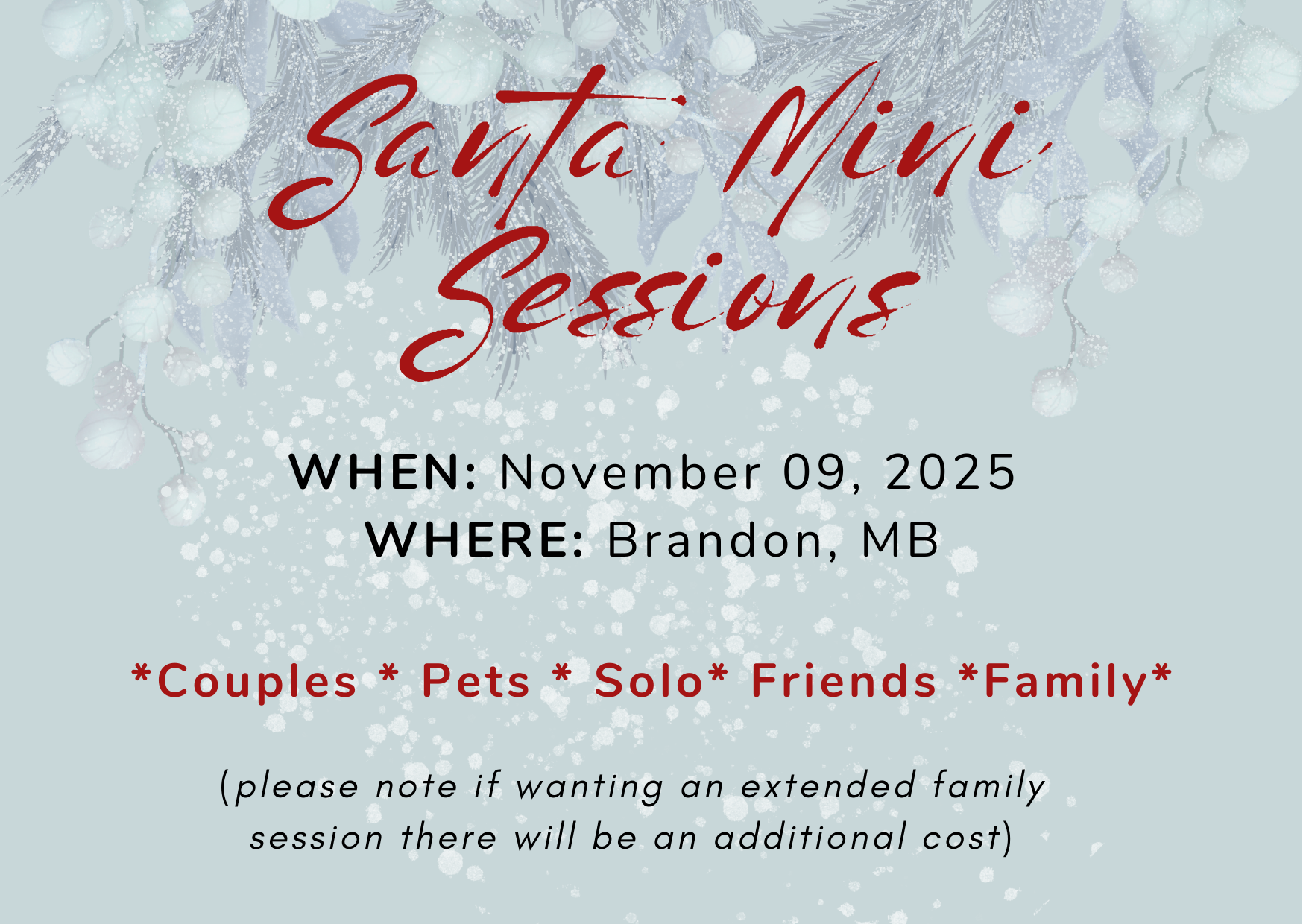 SANTA mini sessions!