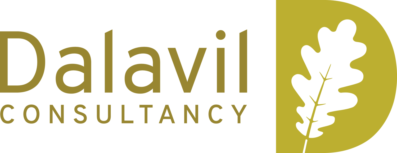 Dalavil Consultancy