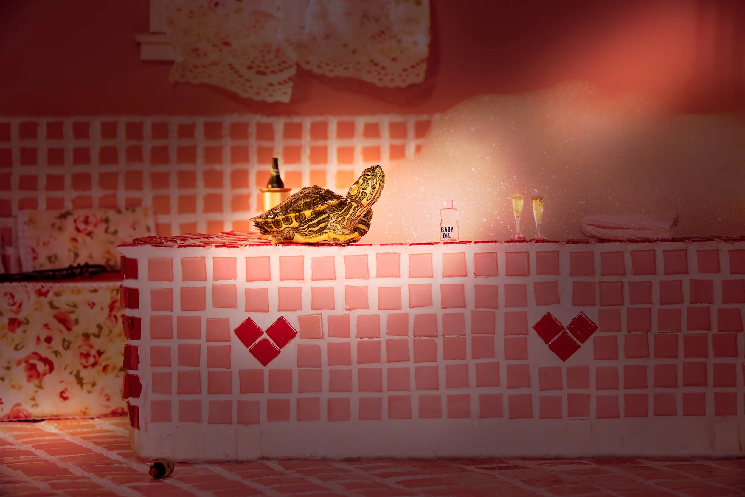 Tales Of The Tortillas