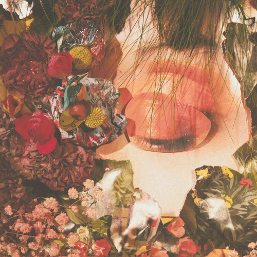 gif-edit.gif