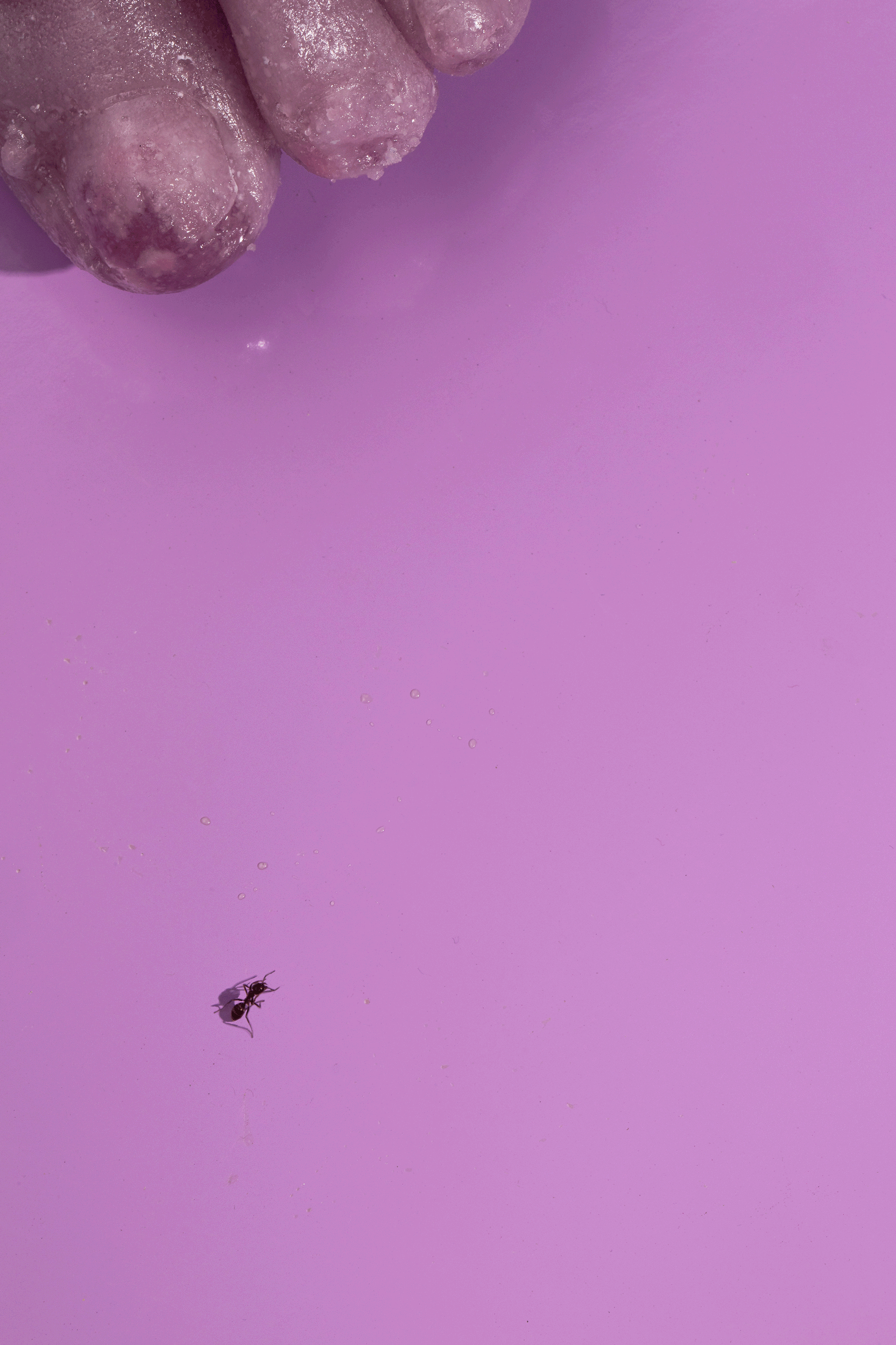 Candy-Foot--small.gif