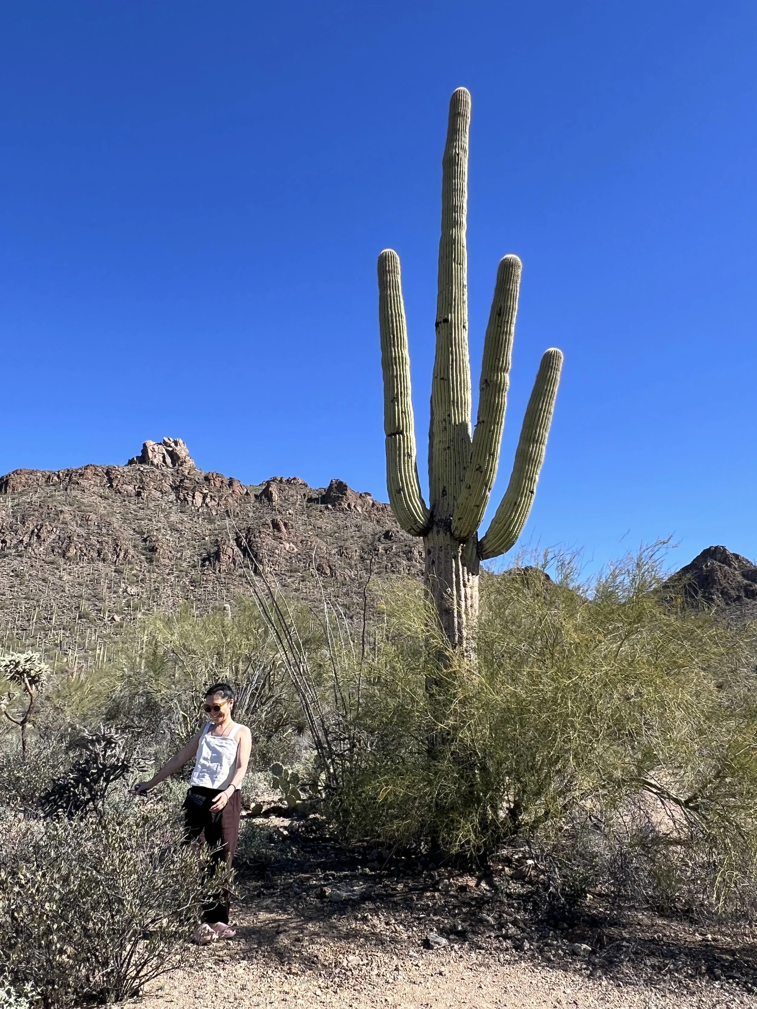 Tucson gem show tour 