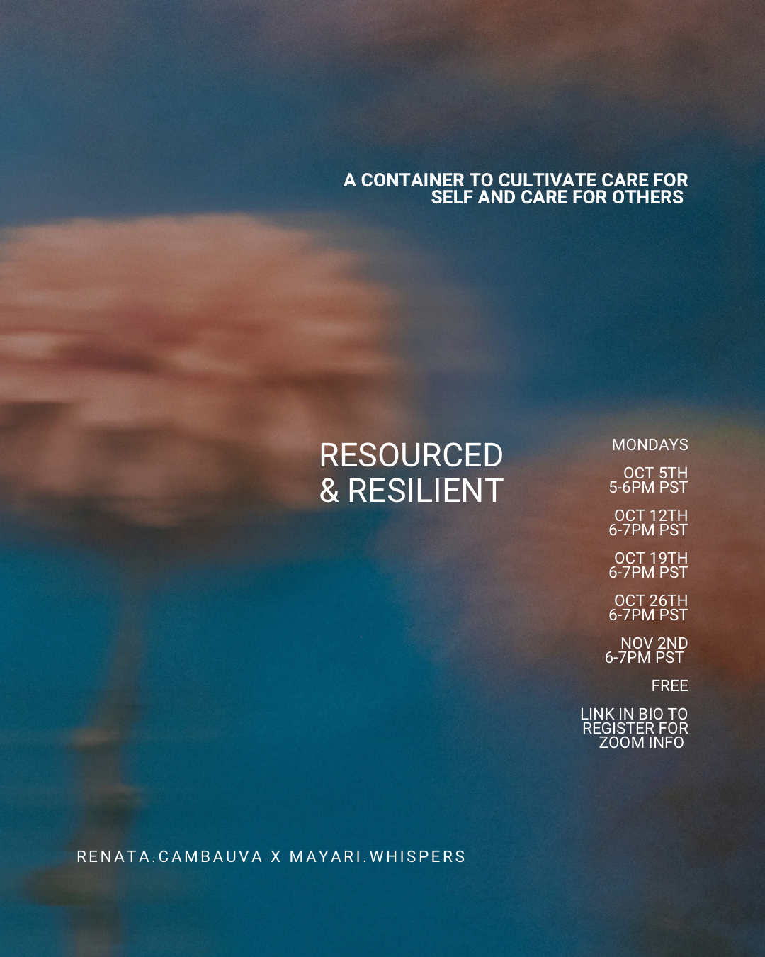 Resources & resilient.png