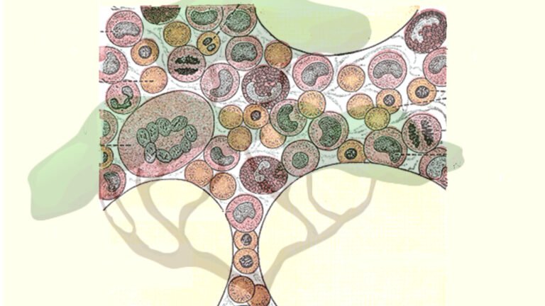 blood cell tree