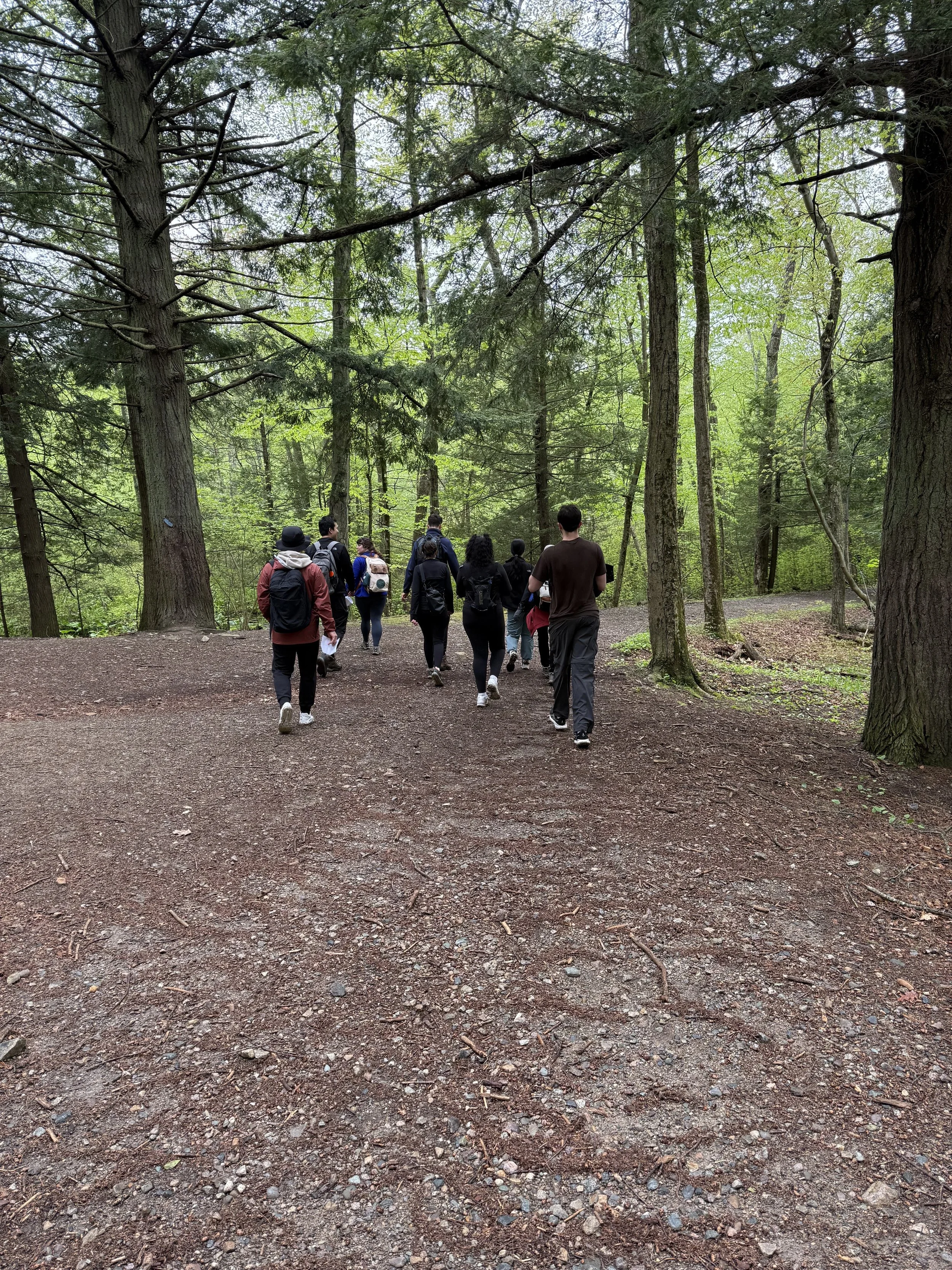Lab Hike, finally walking flat - May 2026