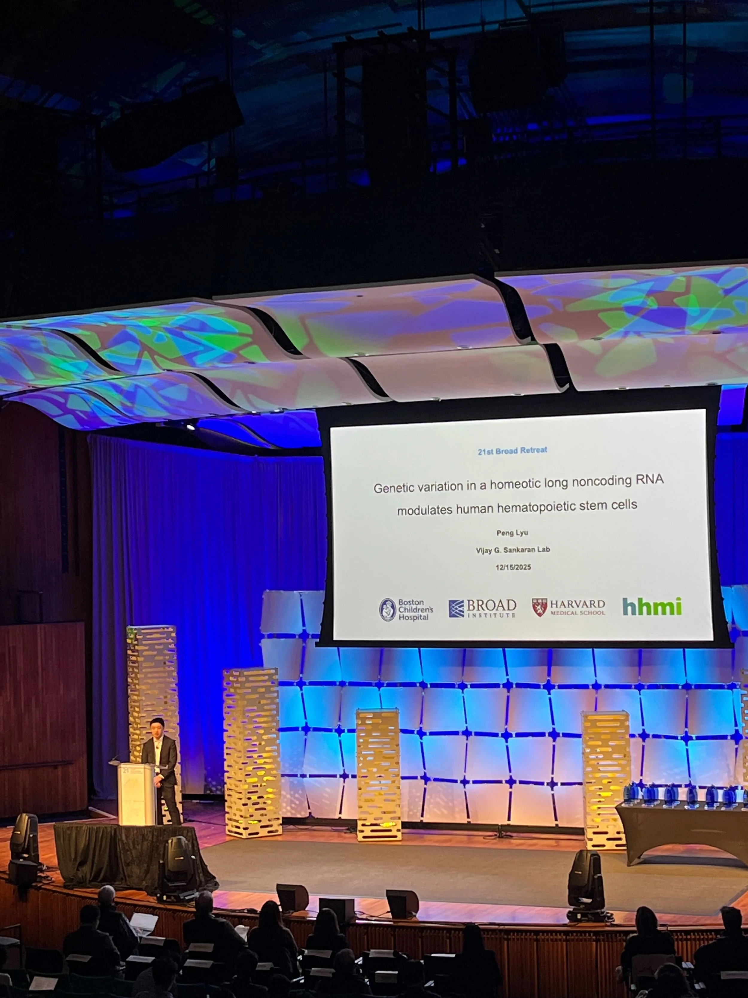 Peng - Broad Retreat - 2025