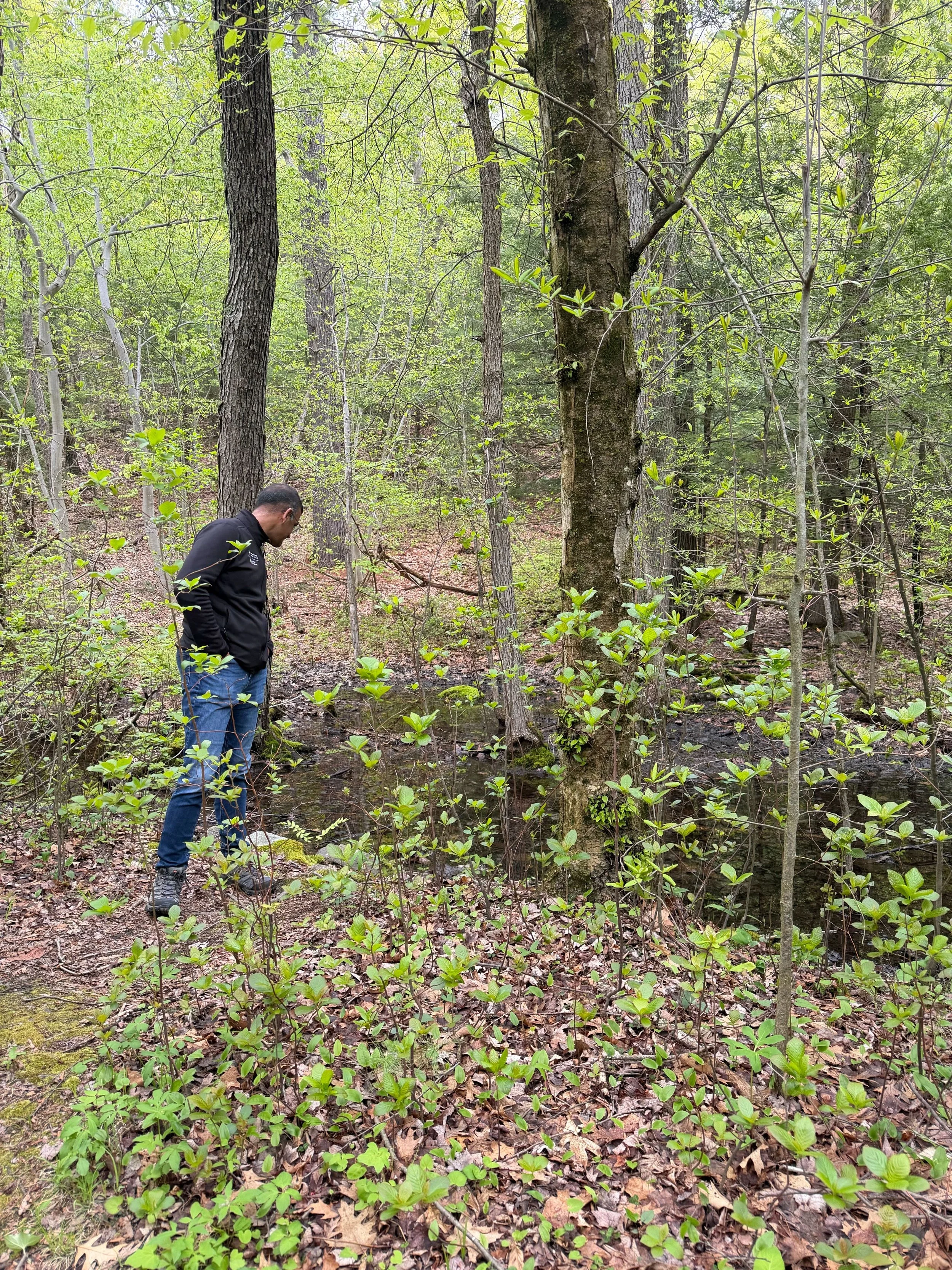 Lab Hike, Vijay looking at a puddle - May 2026