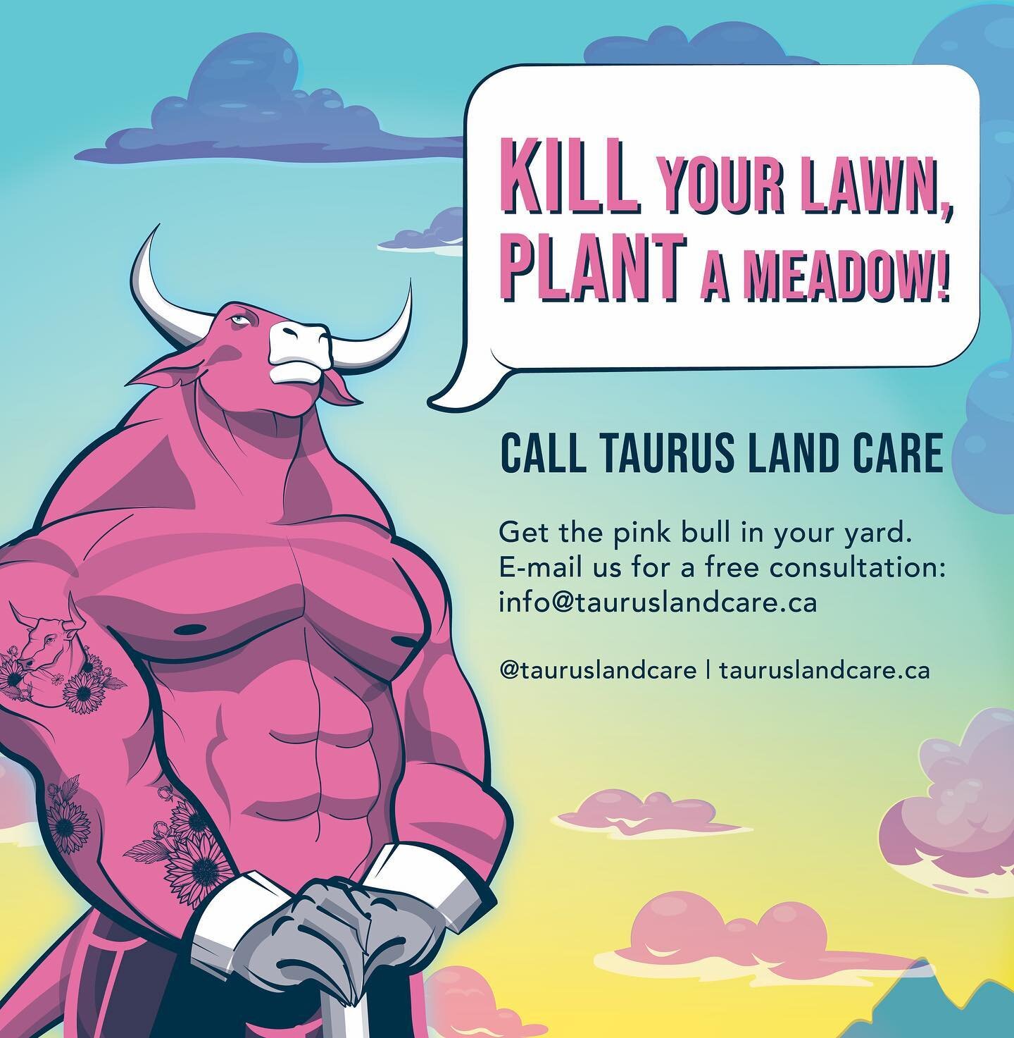 The team at Taurus Land Care is here to help you kill your lawn and grow a native plant meadow. Meadows are lower maintenance, provide habitat for pollinators and songbirds, and are more resilient to a changing climate. From everything from a complet