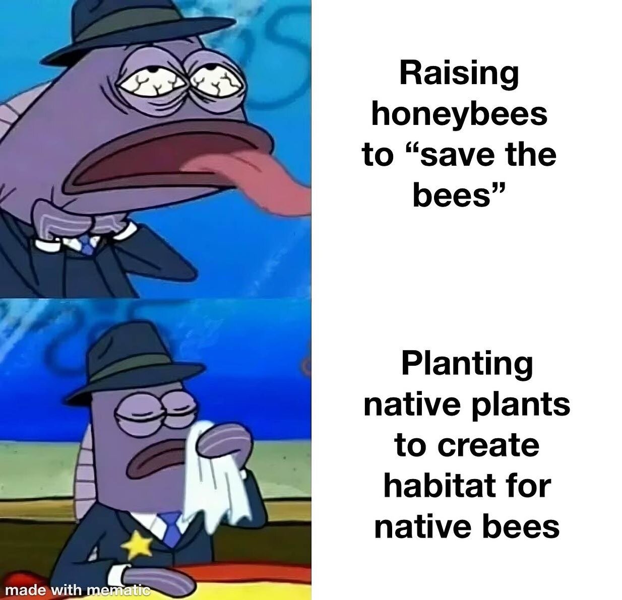 A reminder on #worldbeeday. Honeybees aren&rsquo;t a natural part of the ecology in North America. So, raising honeybees to save the bees is like raising chickens to save the birds. Instead, we need to preserve existing native habitat for pollinators