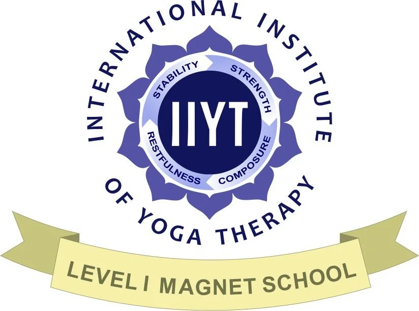 IIYT Level 1 Magnet School logo