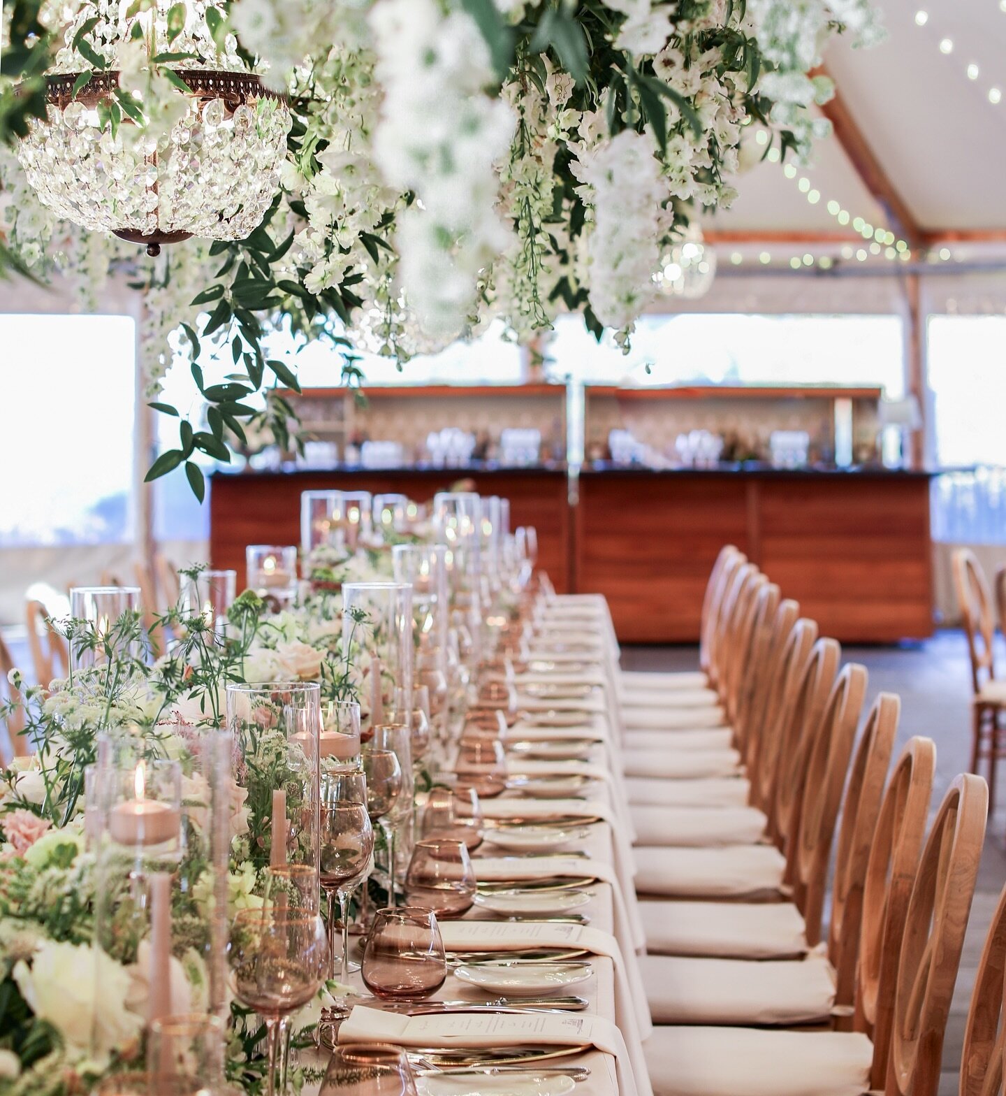 Pairing a tablescape of beautiful blooms with a trellis of hanging florals creates a breathtaking visual impact🌿It adds layers of beauty and dimension to the space, enhancing the atmosphere and creating a memorable setting. Add some timeless lightin