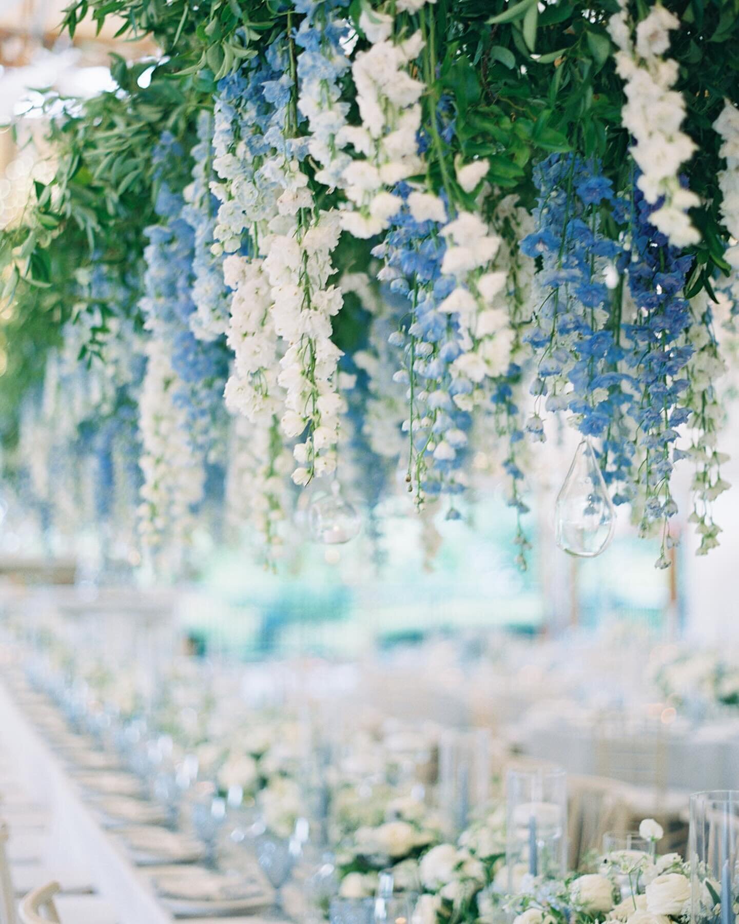 A breathtaking sea of delphinium in shades of blue and white spanned the length of this head table - a perfect complement to the seaside setting of @castlehillinn. These blooms evoked the colors of the ocean and added a touch of natural beauty. 

Pho