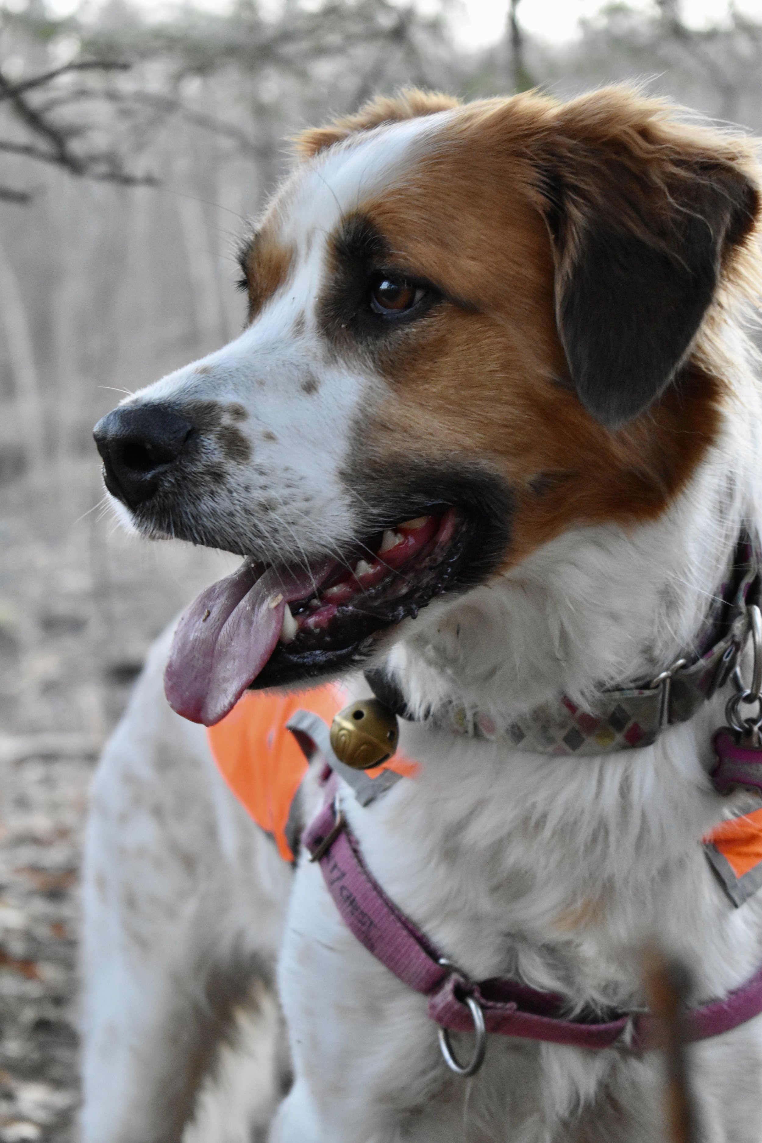 DSC_0322.jpg