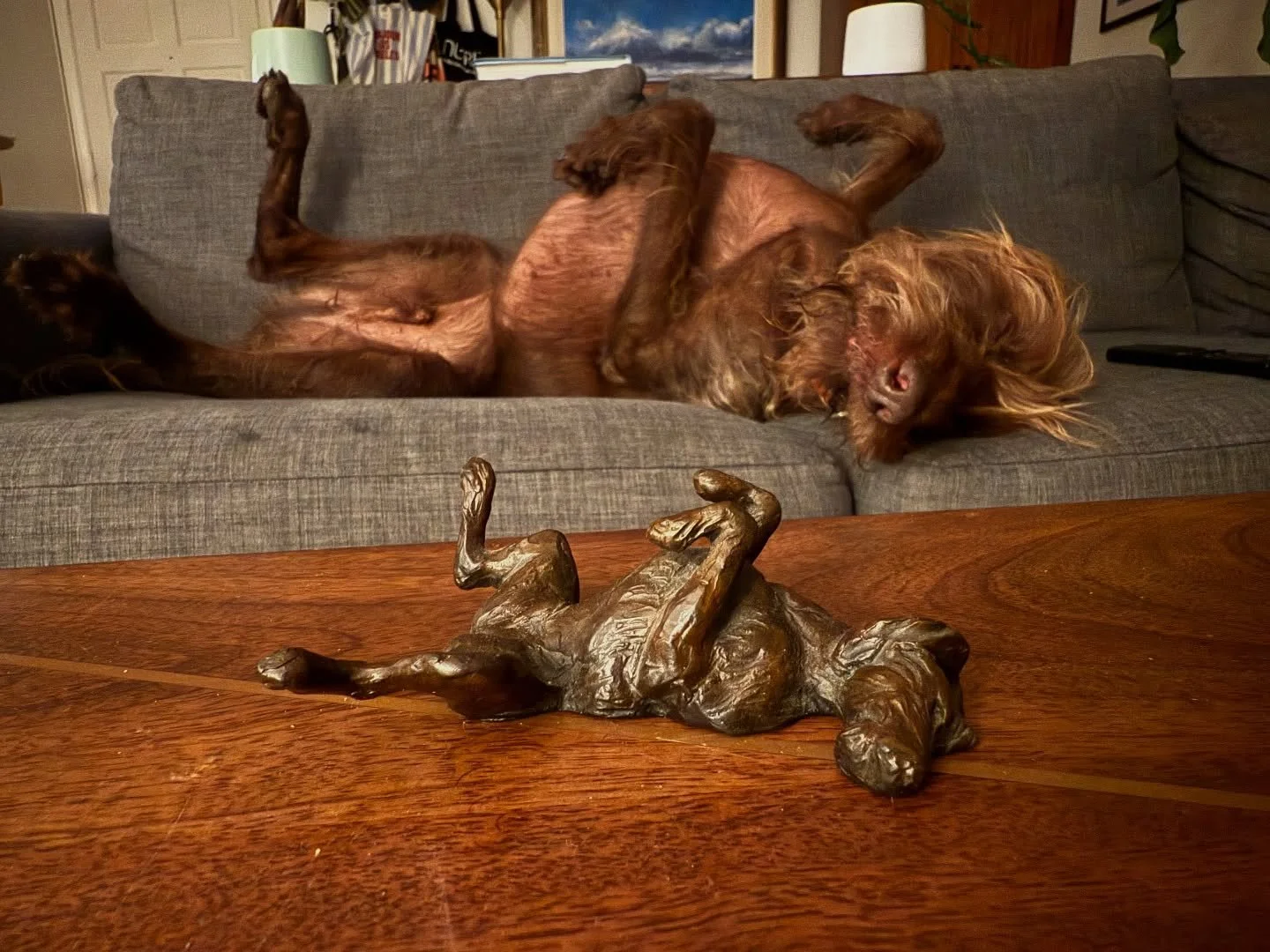 I mean... She nailed it. #LizLewis #pudelpointer