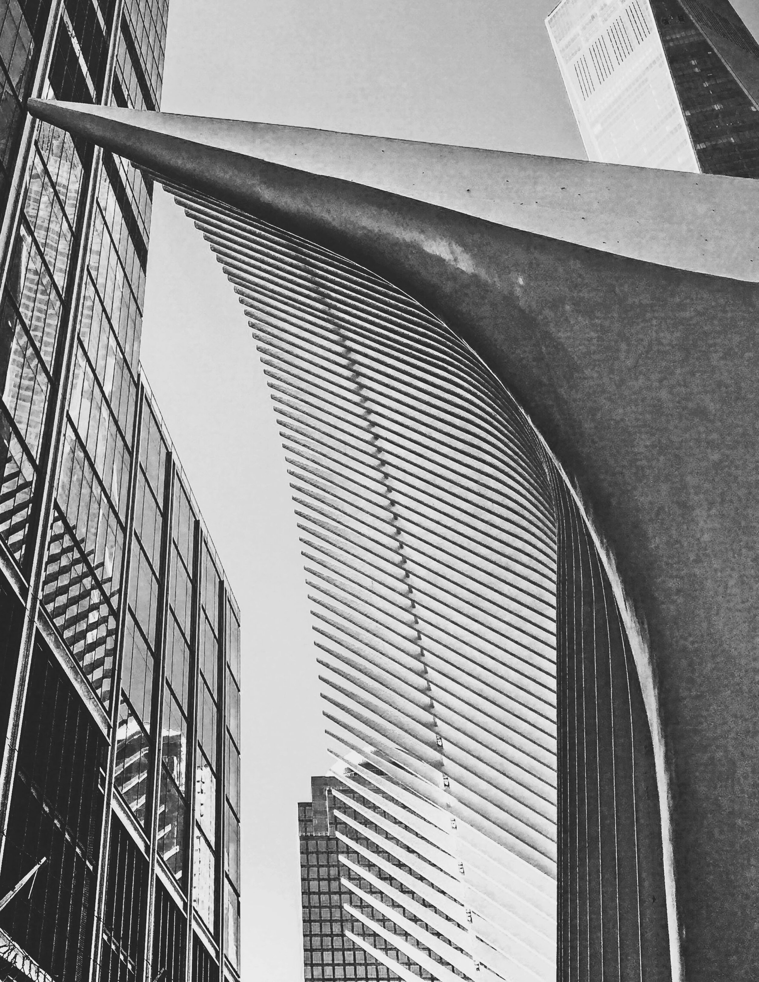 The Oculus Sharp (Westfield World trace Center 11x8)