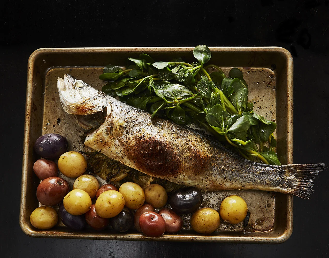 fish_025.jpg