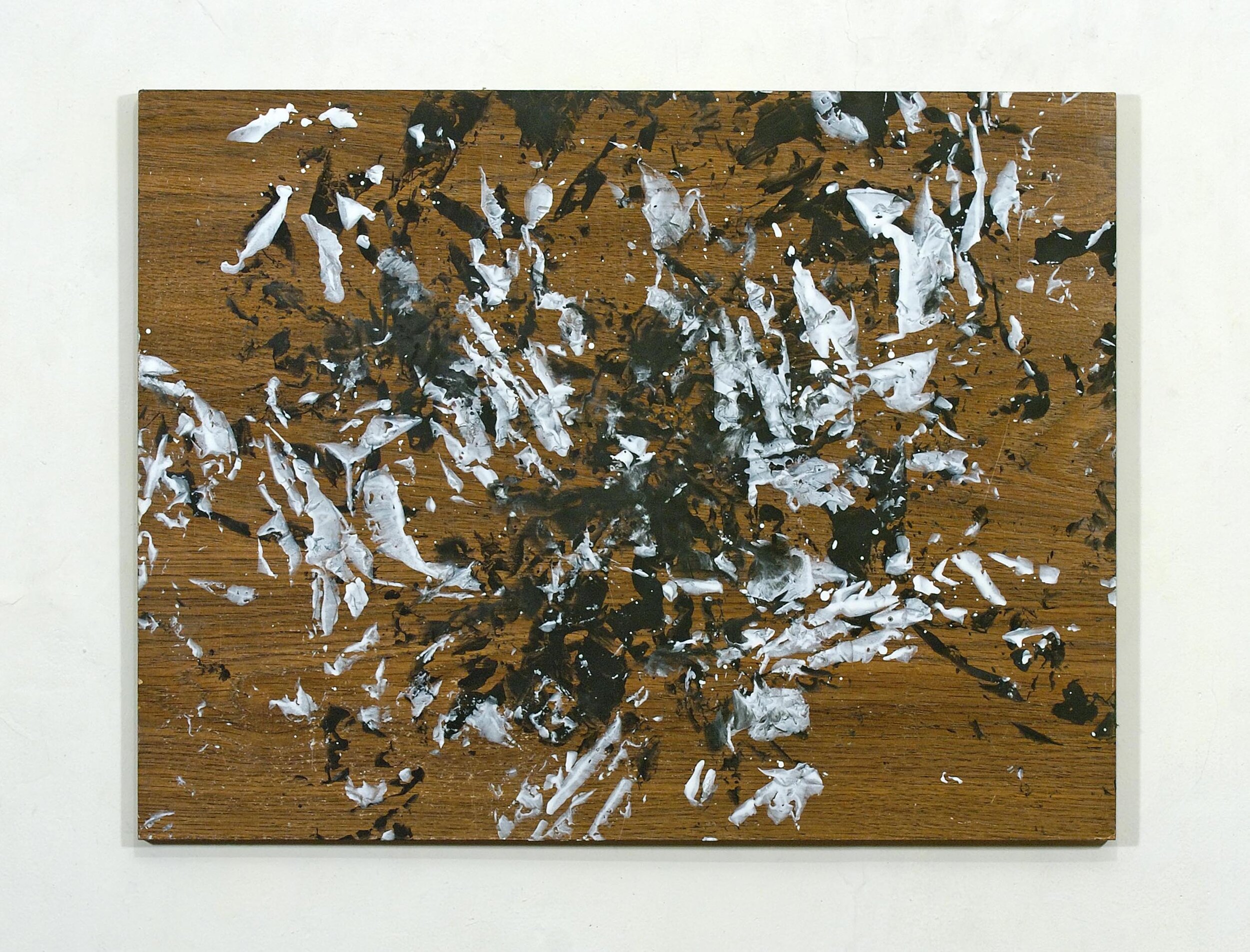 Bosky, 2005 Oil on board 18 x 23"