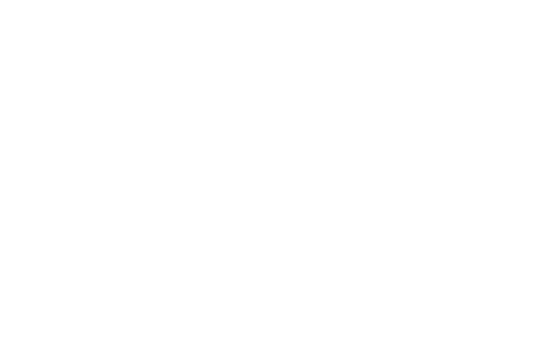 Dan St. Paul