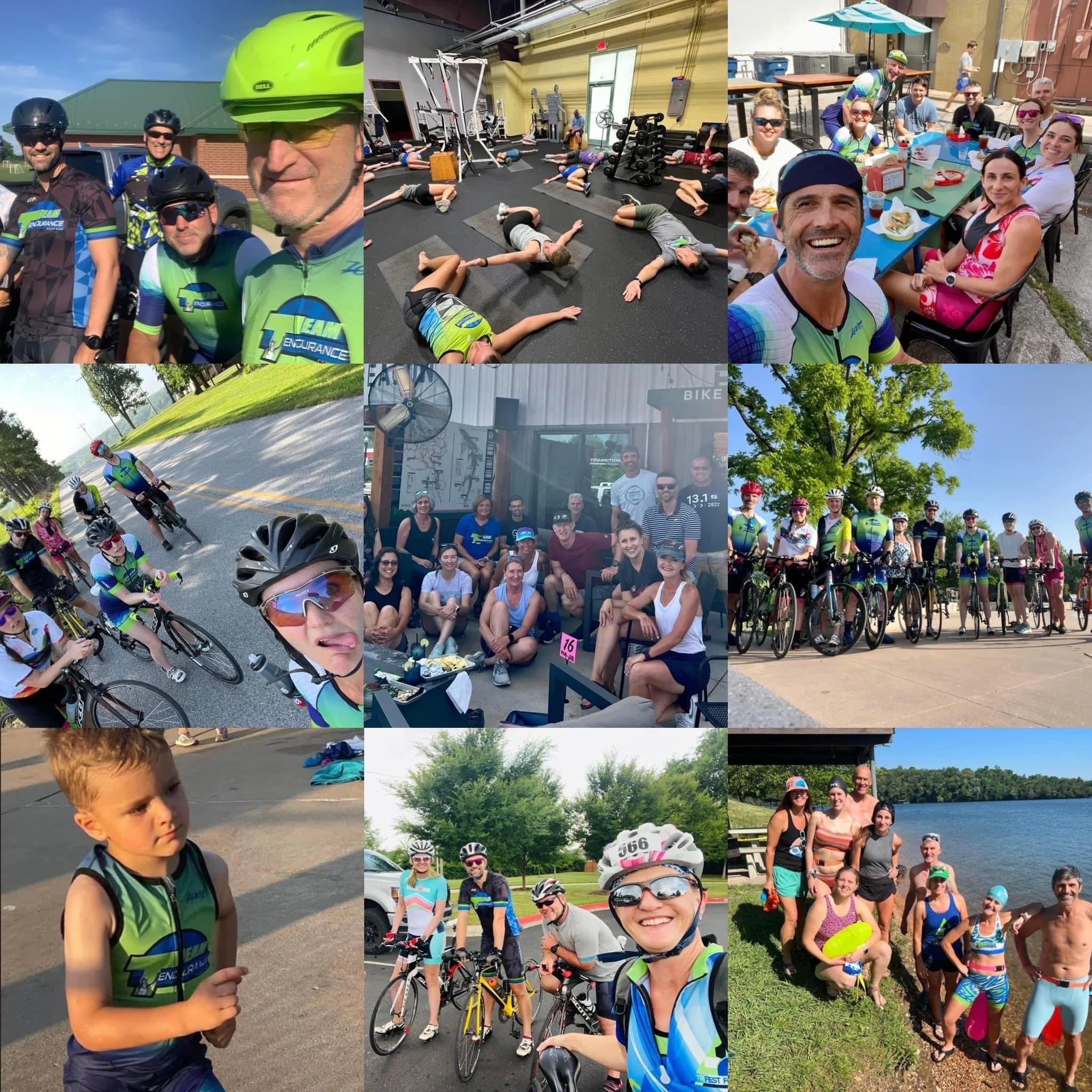 Research MS Trifest for MS