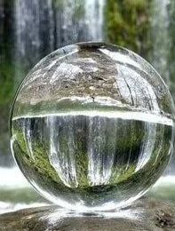 Close up circle water drop in forest