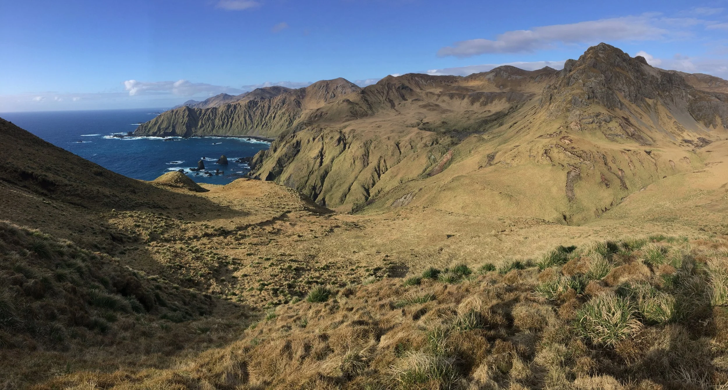 The Island — Macquarie Island Conservation Foundation