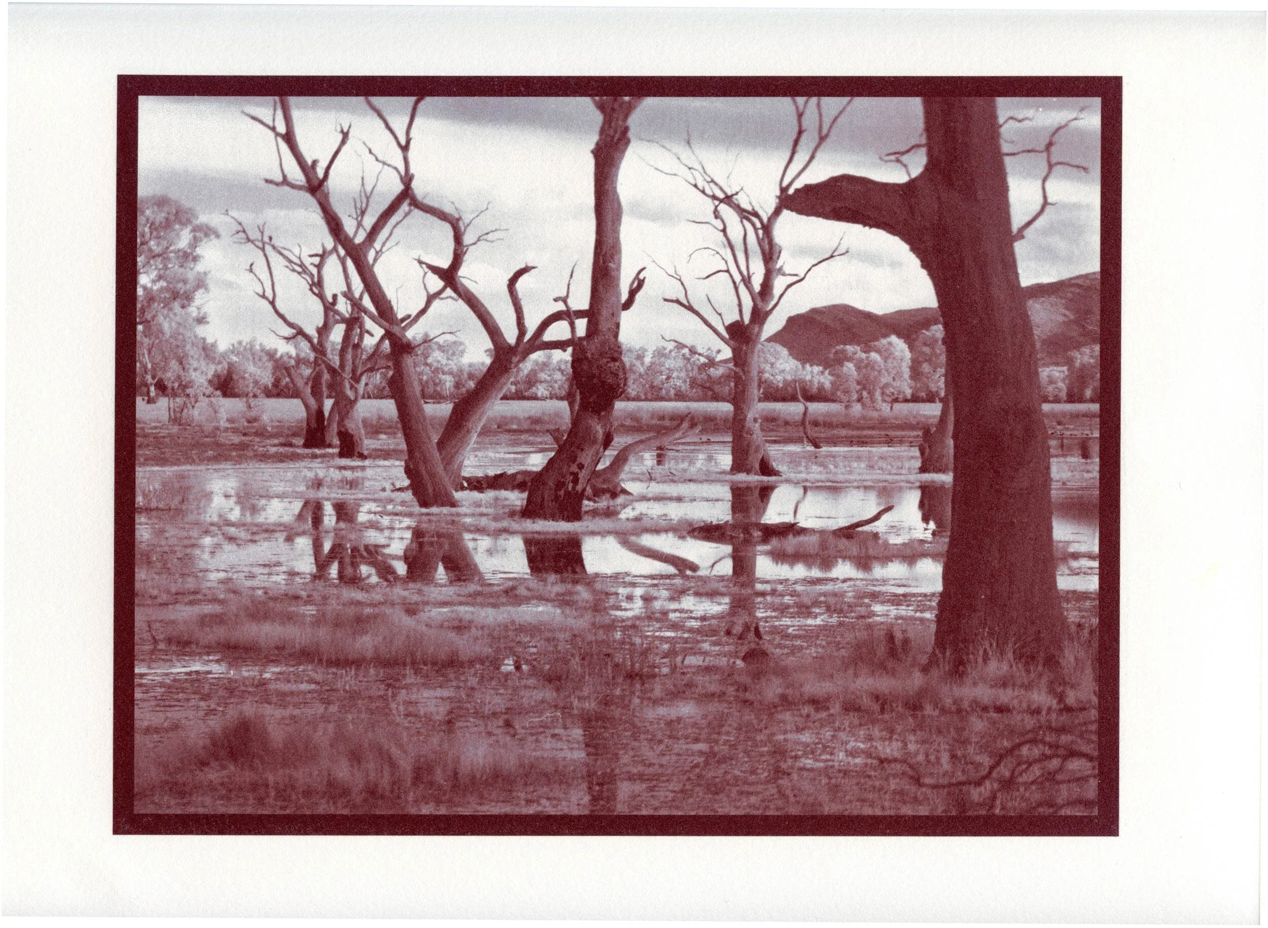 The Gibblings - Grampians