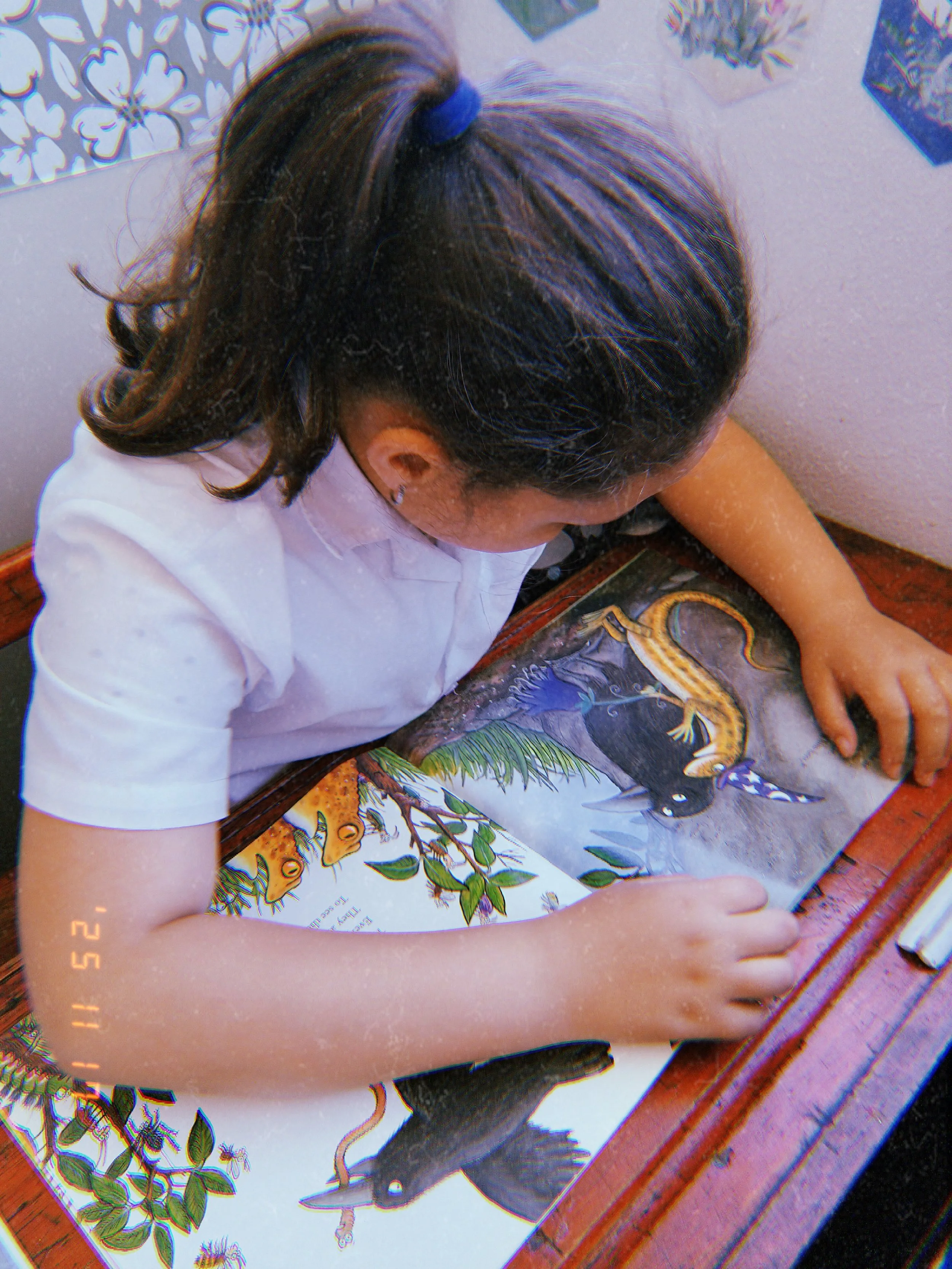 Mitchells Plain_Photo 2.jpg