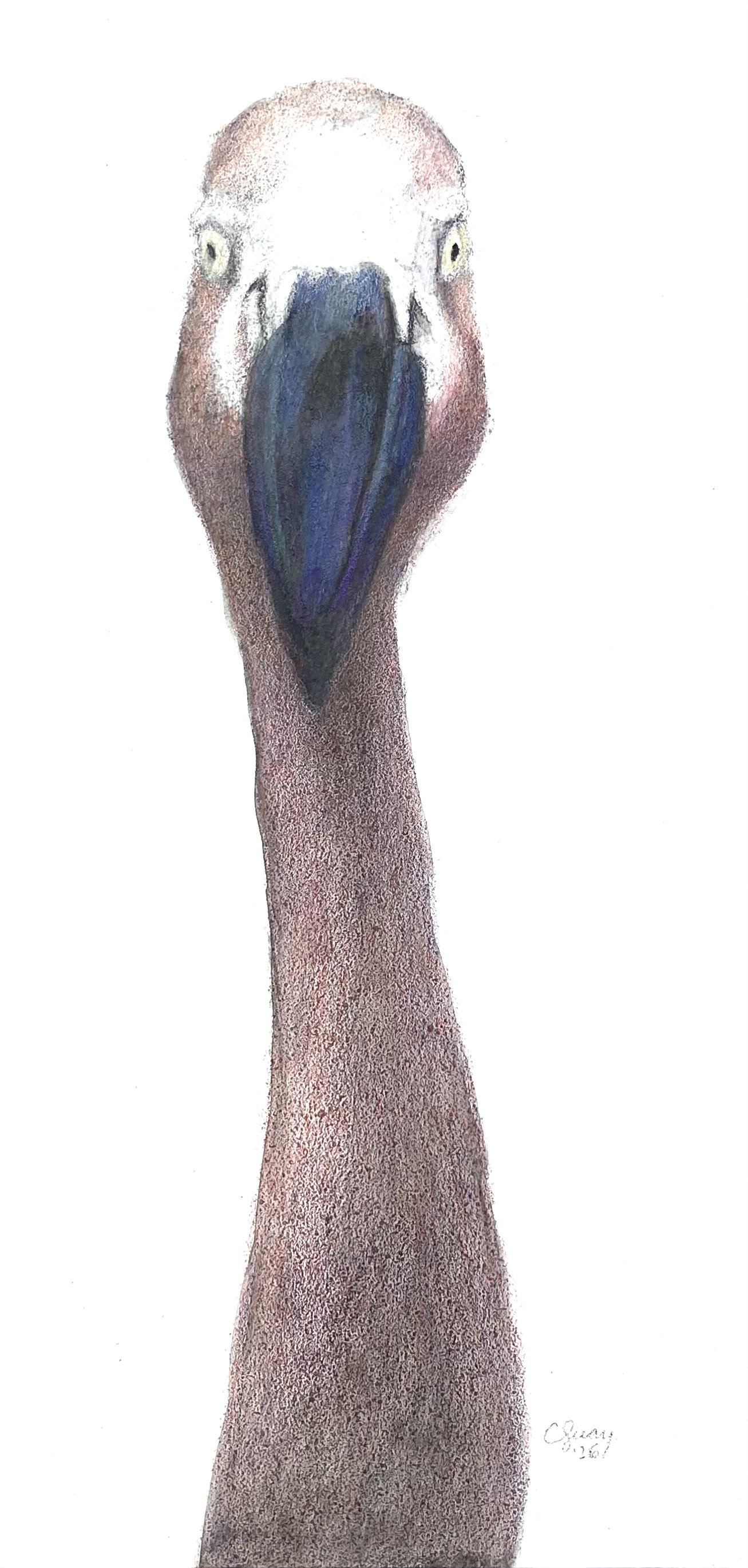 Jimmy 5 x 10 charcoal $180 (unframed)