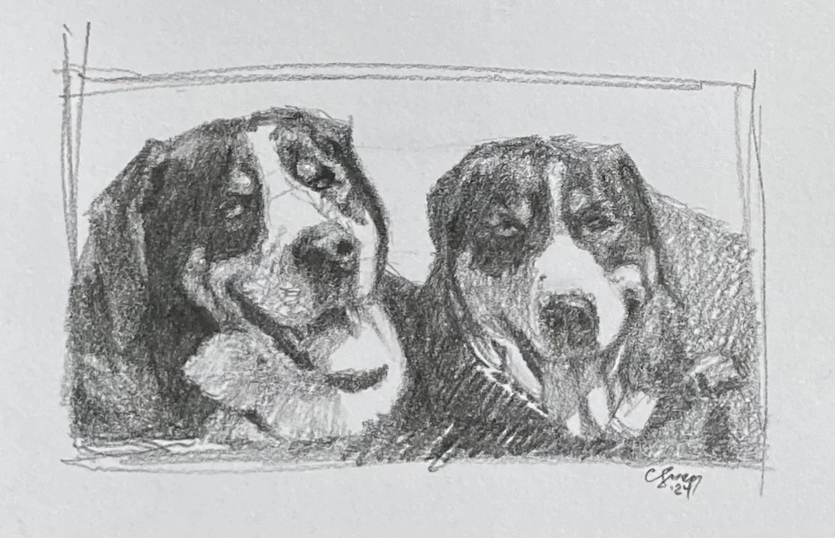 Kona and Napali 6 3/4 x 4 1/4 graphite