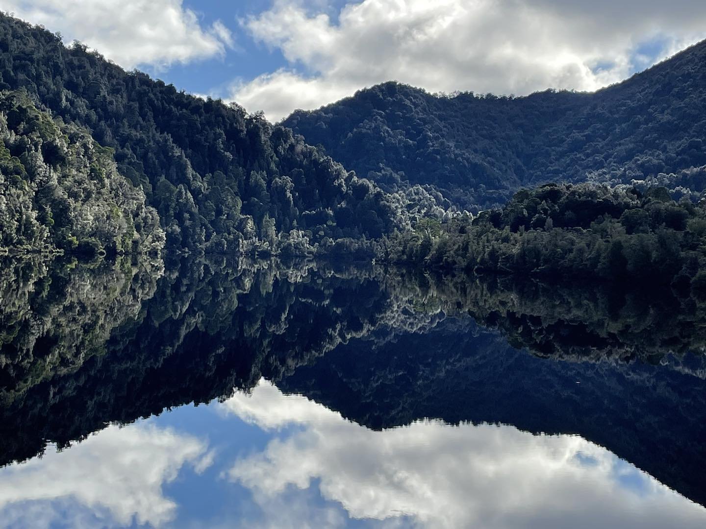 The Gordon River putting on a spectacular Autumn show 🙌