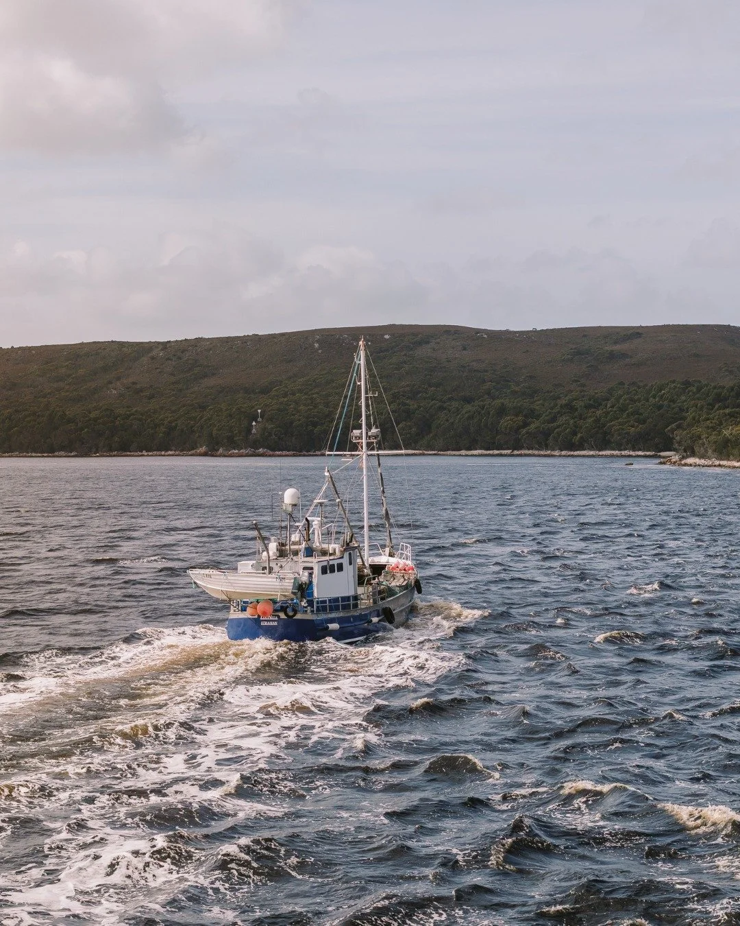 Local fishing boat at Hell's Gates steaming home to unload their catch 

#worldheritagecruises #theredboat #strahan #strahantasmania #tasmania