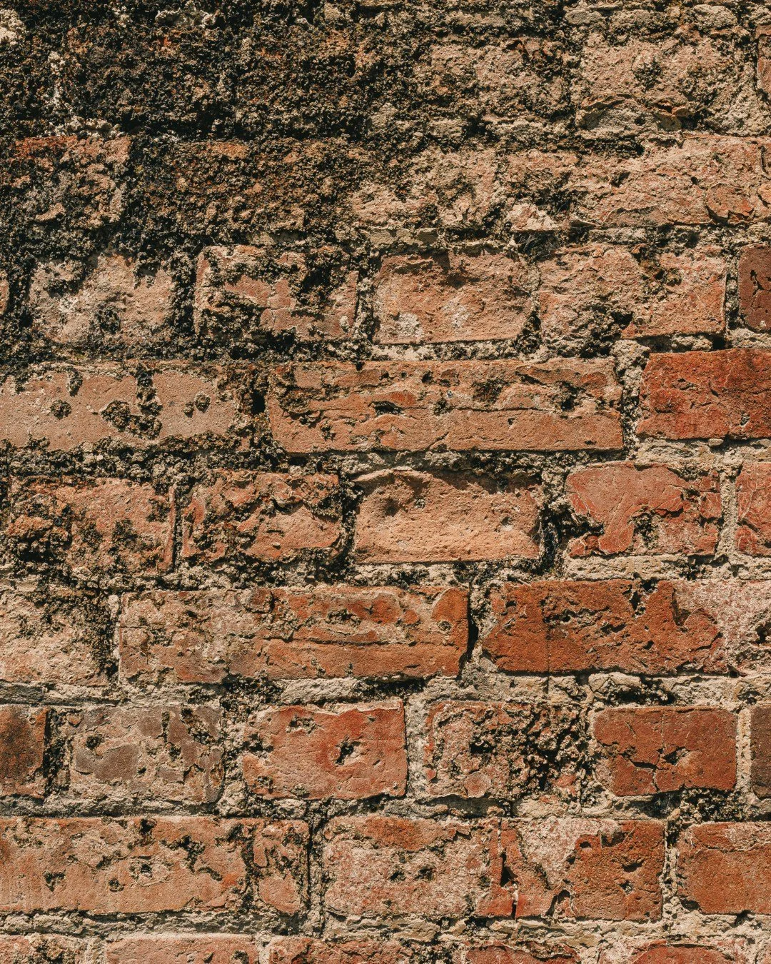 Convict bricks are commonly marked with a thumb print from the manual brick making process. It's likely these bricks from Sarah Island were handmade by convicts at nearby Brickmaker's Bay

#worldheritagecruises #theredboat #strahan #strahantasmania #