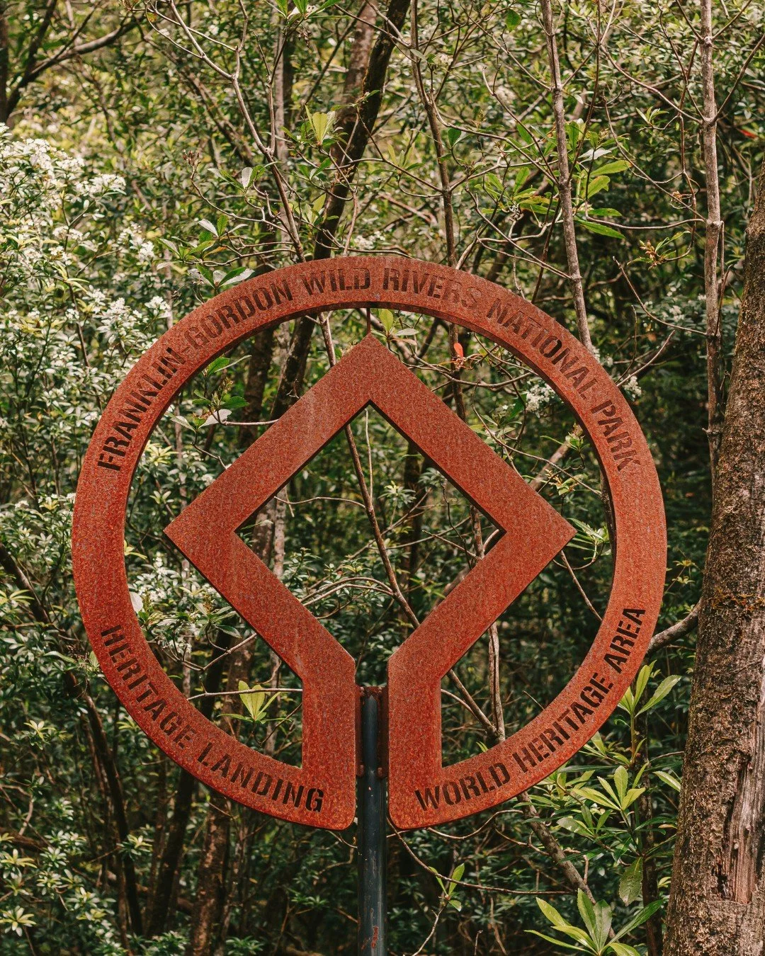 Explore UNESCO World Heritage listed rainforest at Heritage Landing

#worldheritagecruises #theredboat #strahan #strahantasmania
#tasmania #gordonriver