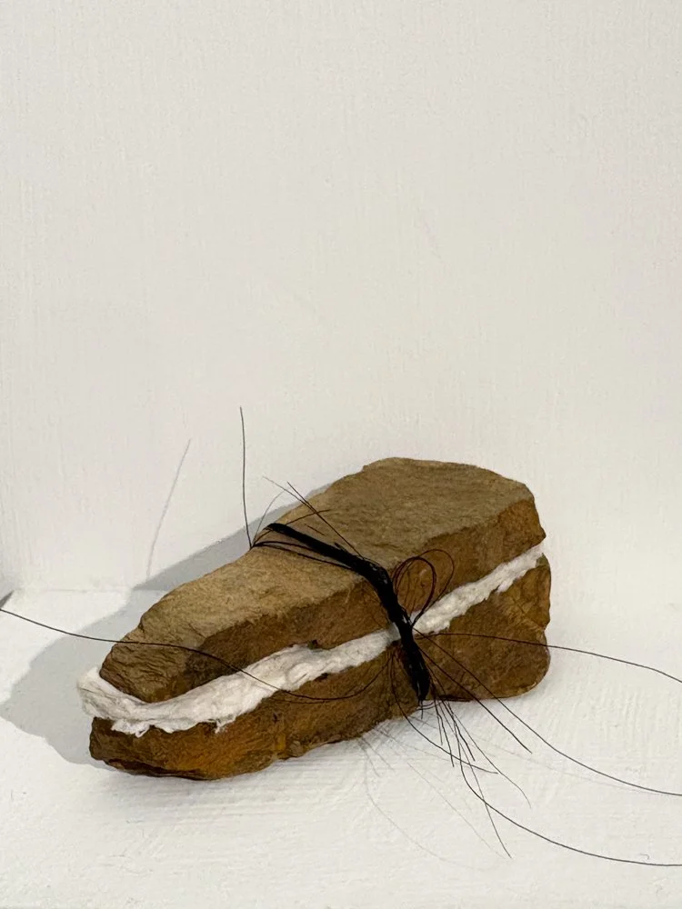 Travel Journal. Lake Eucumbene_Handmade paper, ink, brumby hair, rock and and thread_5x3x1.5cm_Kate Ford (1).jpg