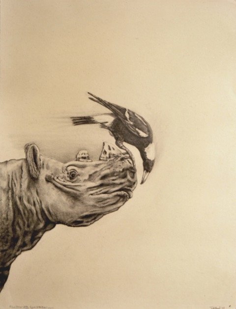 Geoff_Tolchard_Fluttering conversations_charcoal on paper46cmx35._$450_jpeg.jpeg
