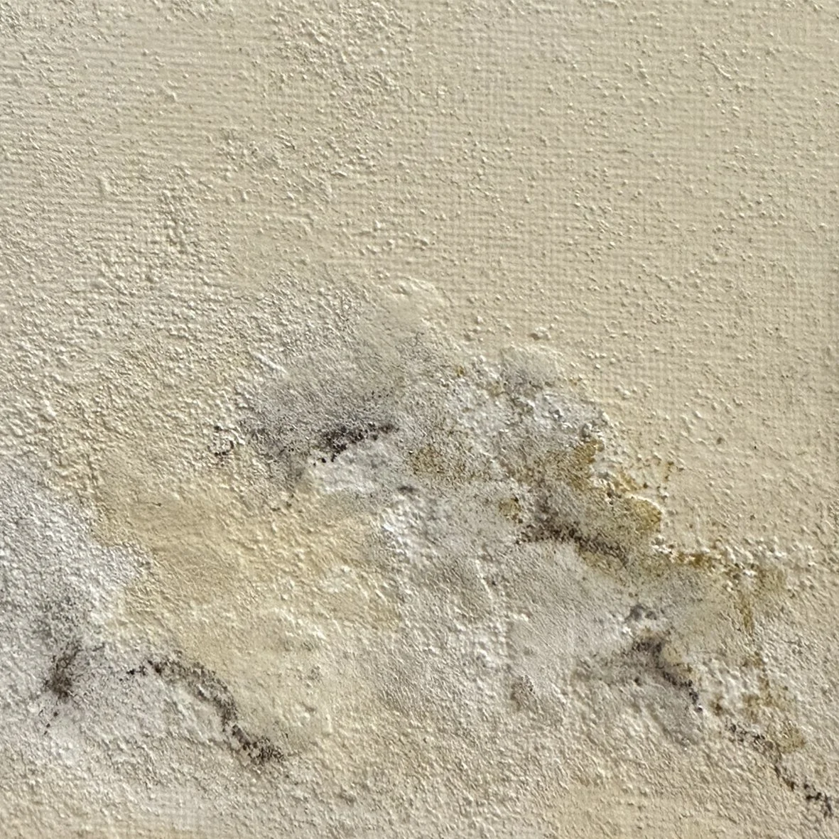 Still Air II_Mixed media_60_Agustina Ambrogna.jpg
