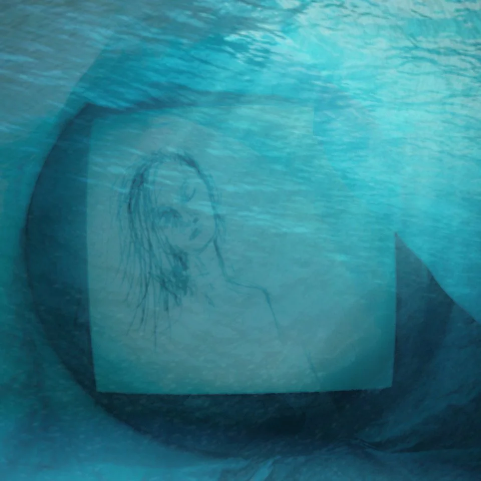 aqua dreamer - Michelle Ansoul