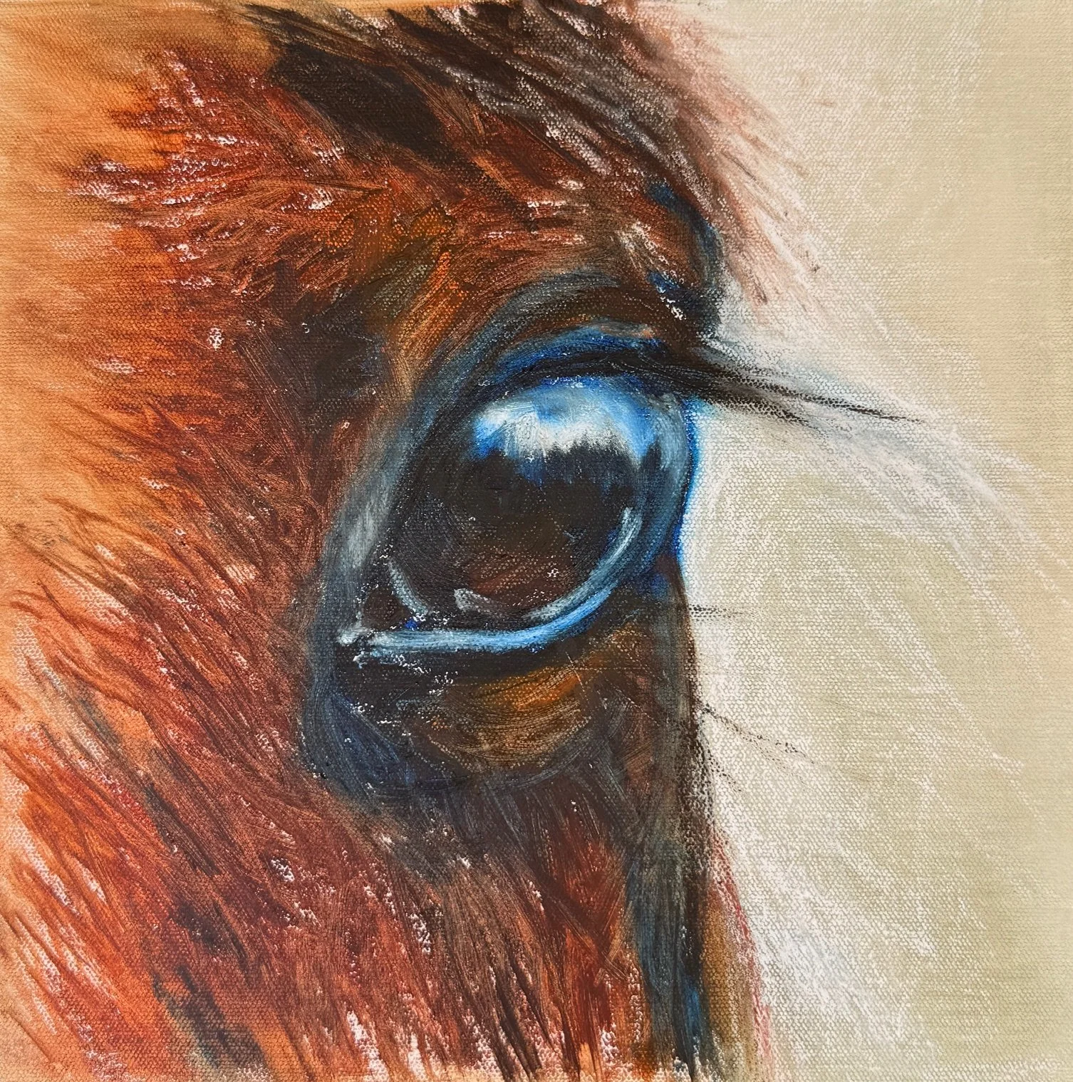 Radiance - Alex Taylor