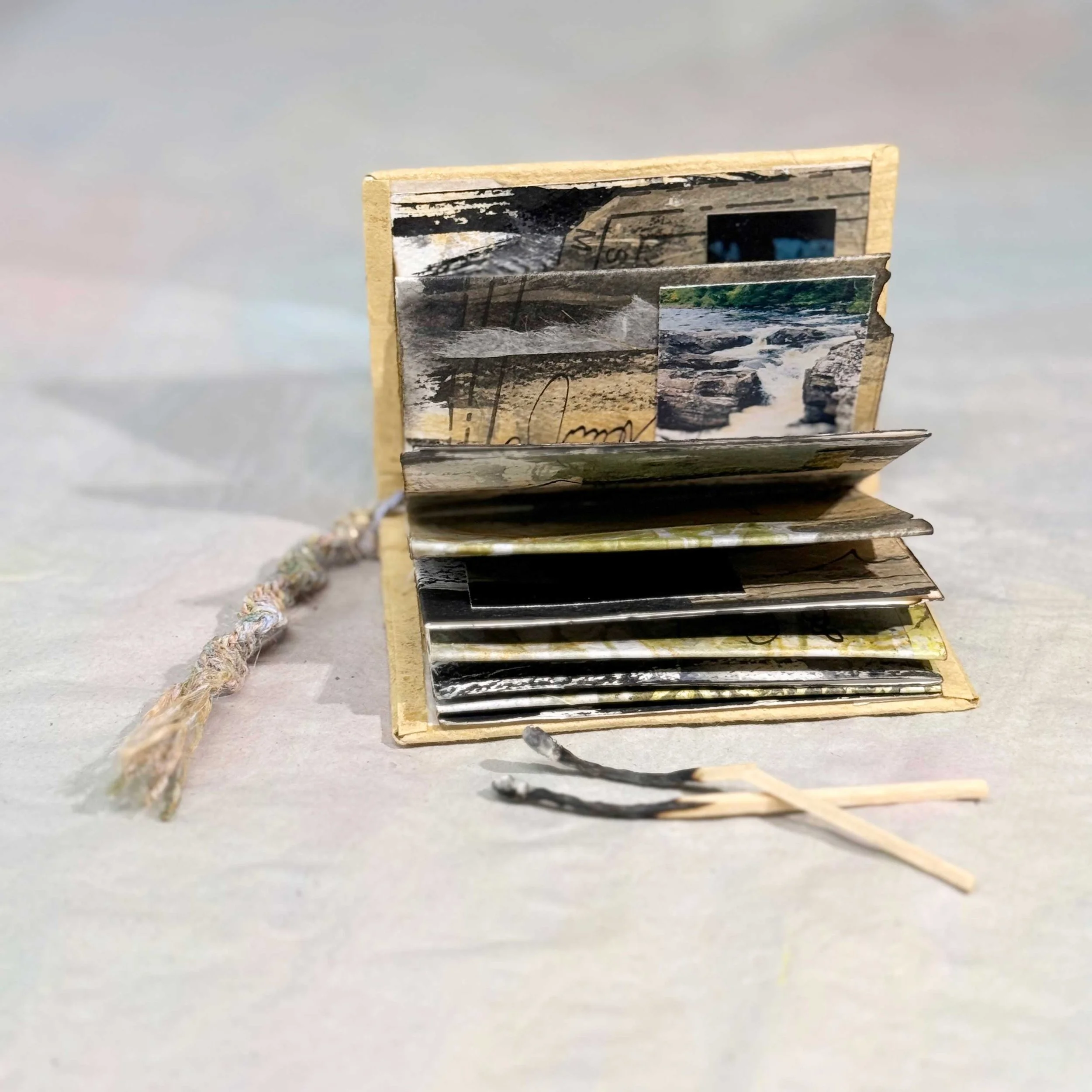 Stories-from-the-Forest---Matches-Not-Included_330_12x8x2_Bridie-Schmidt-2.jpg