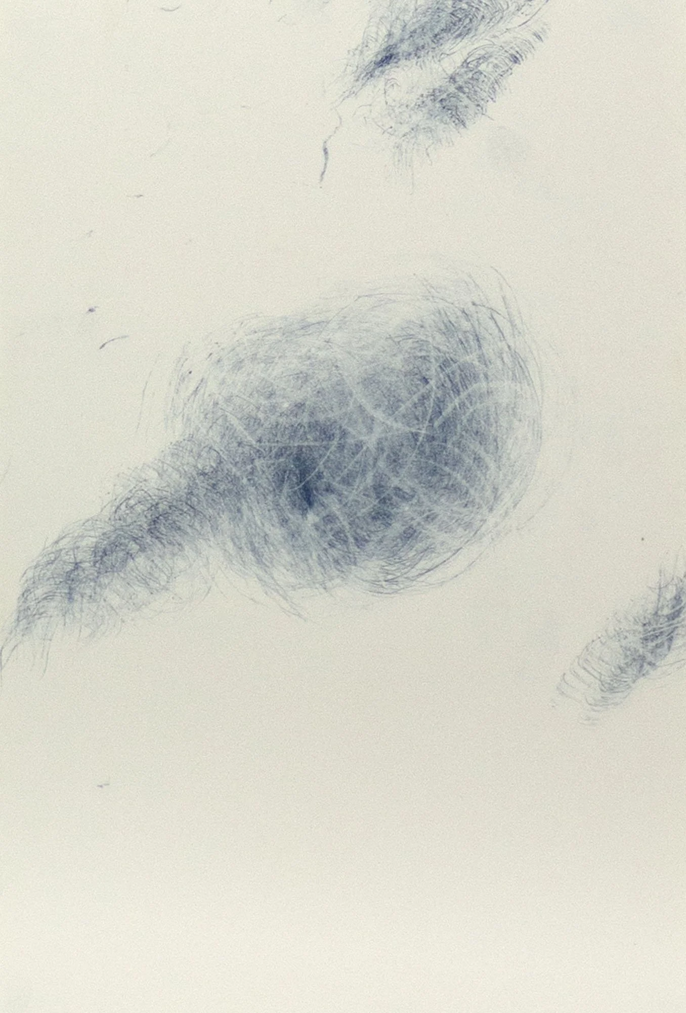 Transference 12_Carbon on Paper_28x19cm_$190_Emily-Sarah Boldeman.jpg