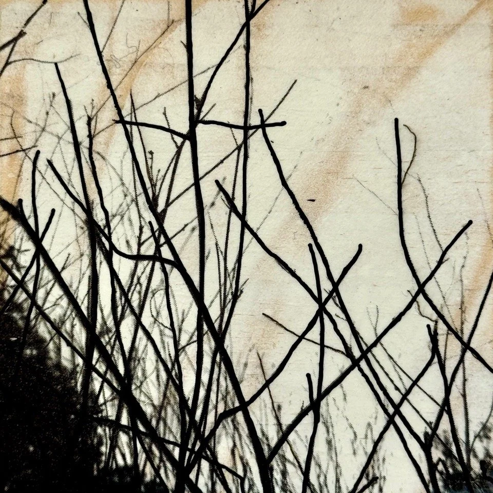 wildgrass1_mixedmediaonreclaimedwood_$80_KylianMartin.jpeg